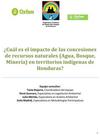 ¿CUAL ES EL IMPACTO DE LAS CONCESIONES DE RECURSOS NATURALES (AGUA, BOSQUE, MINERÍA) EN TERRITORIOS INDÍGENAS DE HONDURAS?: RESUMEN DEL INFORME Impacto concesiones recursos naturales thumb